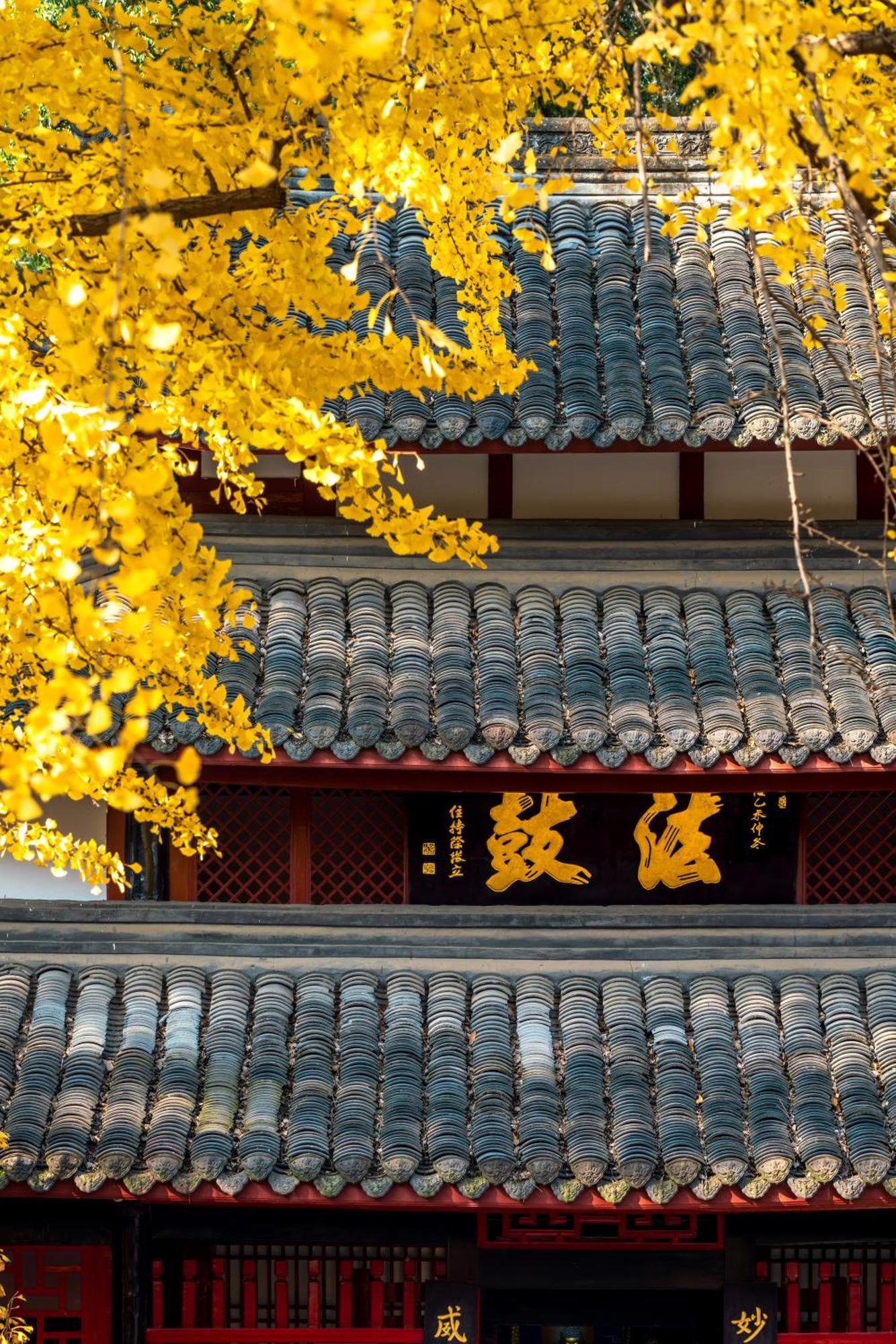 Shangri-La Chengdú Exterior foto